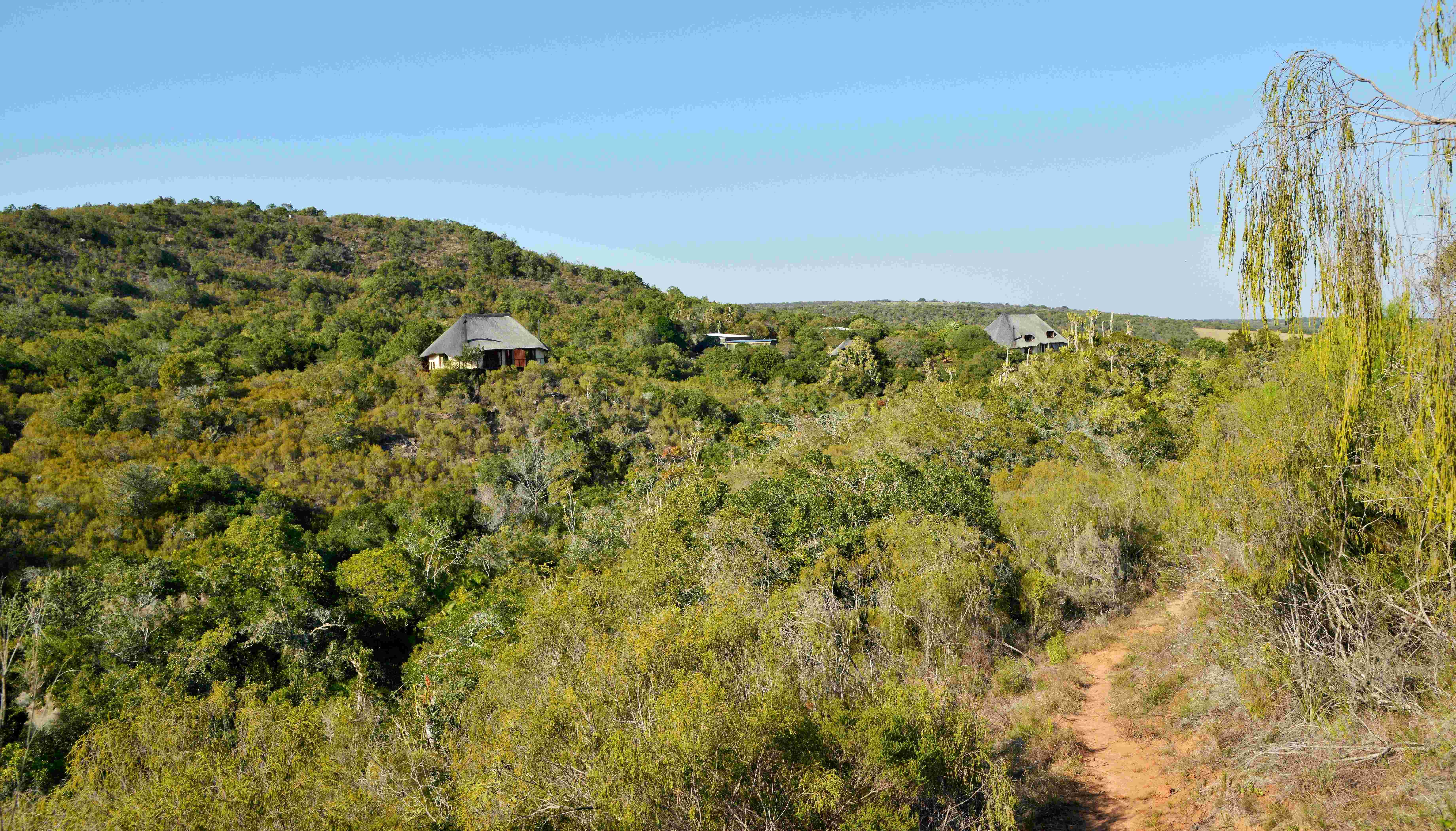 Sibuya Bush Lodge